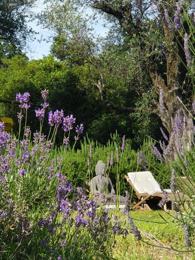 Apartment Picasso In Large Park With Heated Pool Chateauneuf-Grasse 외부 사진